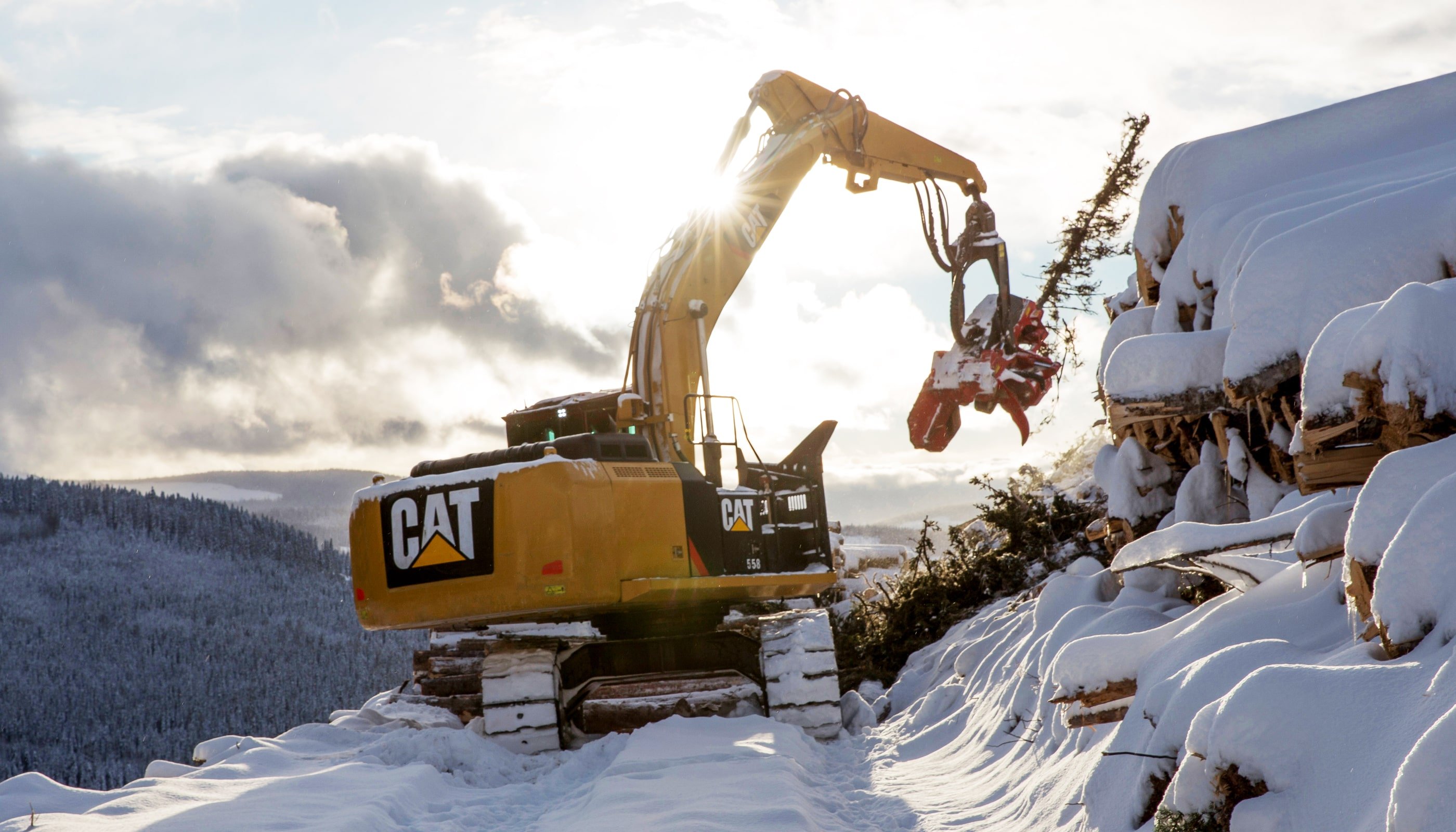 Milton CAT Forestry | Forest Machines